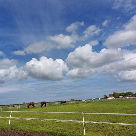 ホテル Braemar Equestrian, East Riding Of Yorkshire Burton Pidsea エクステリア 写真