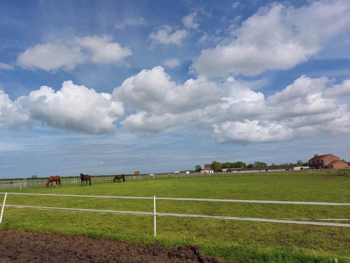 ホテル Braemar Equestrian, East Riding Of Yorkshire Burton Pidsea エクステリア 写真