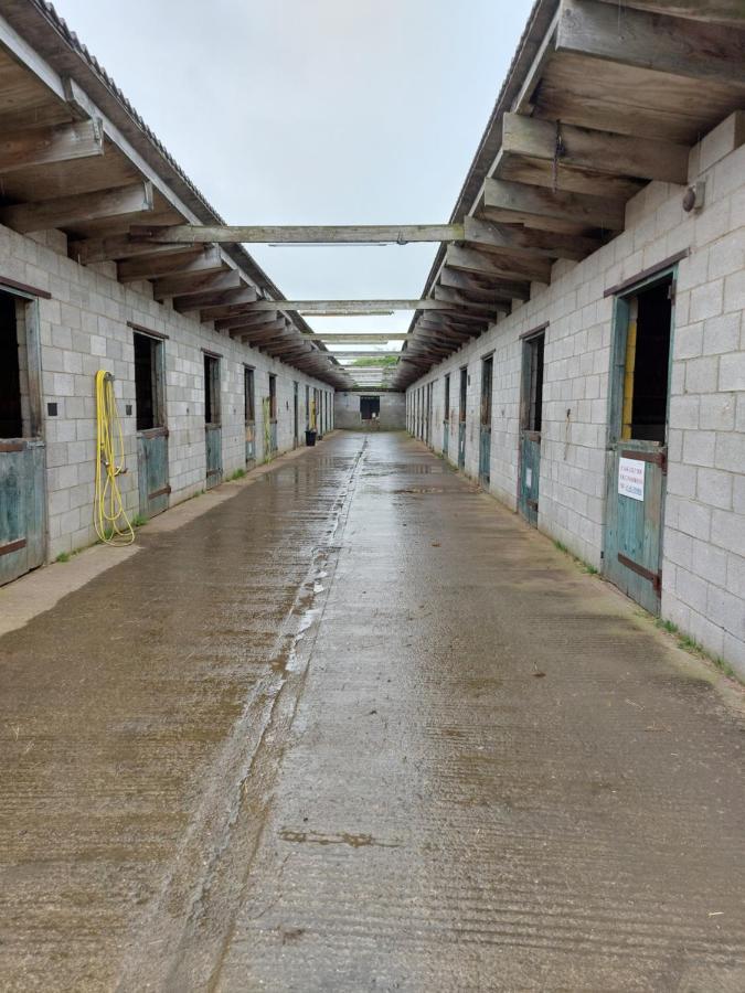 ホテル Braemar Equestrian, East Riding Of Yorkshire Burton Pidsea エクステリア 写真