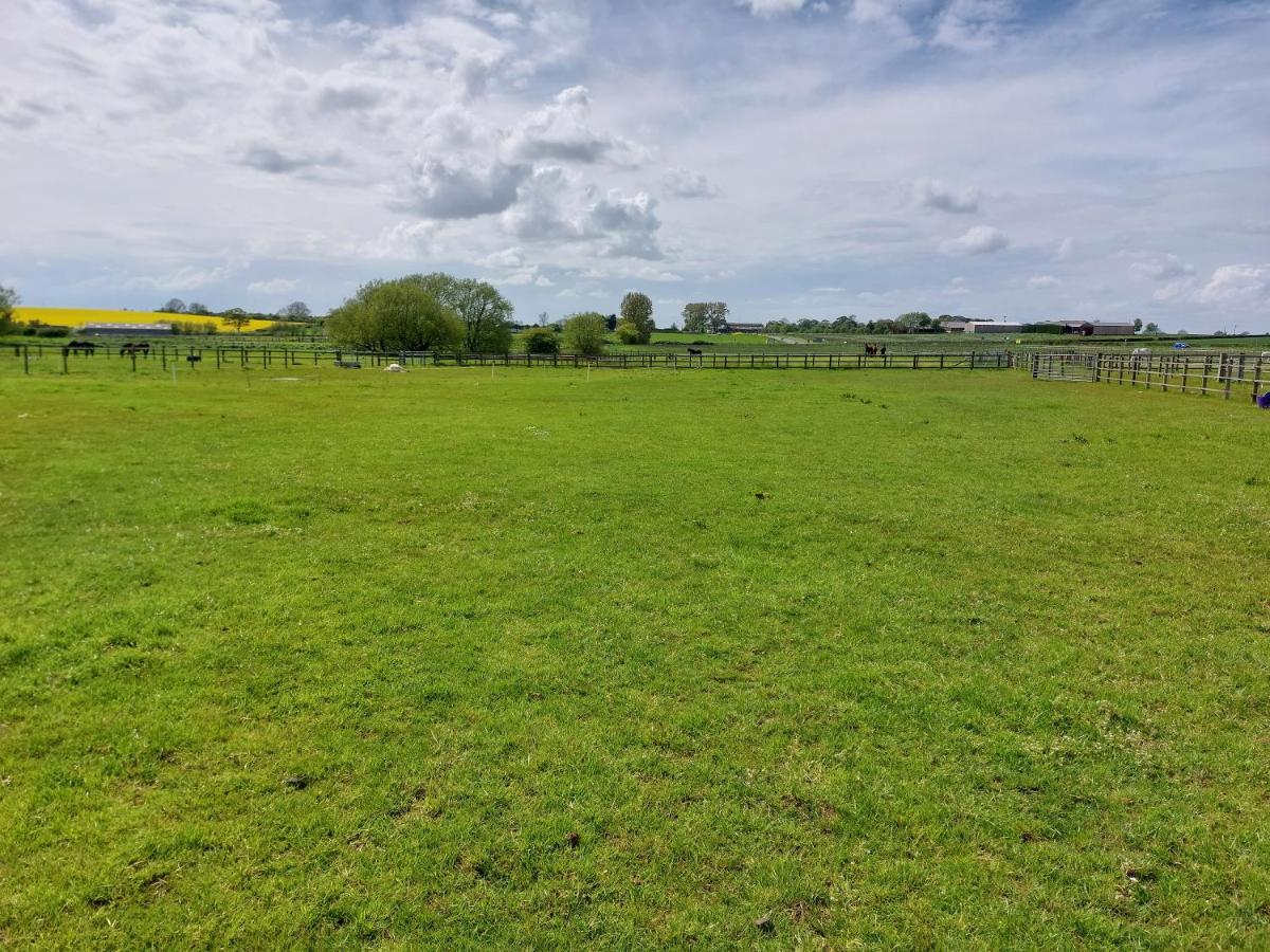 ホテル Braemar Equestrian, East Riding Of Yorkshire Burton Pidsea エクステリア 写真